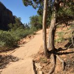 Angels Landing - The First Part is Mainly Paved